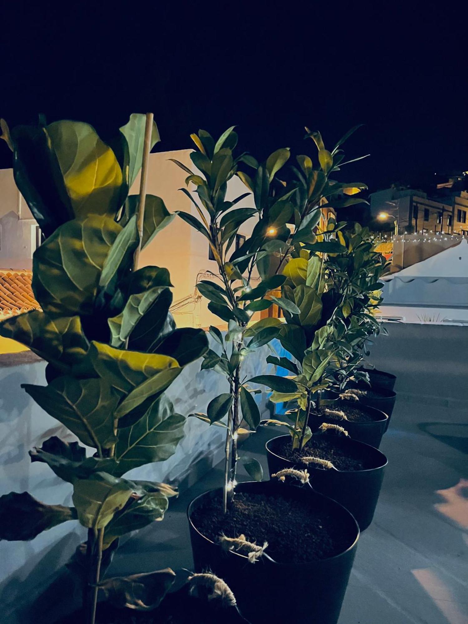Plaza De La Fuente Granadilla De Abona Tenerife Sur Only Adults Con Terraza Privada Ngoại thất bức ảnh